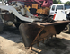 Used Front Loader Tcm 810 Small Loader with Isuzu Engine for Sale